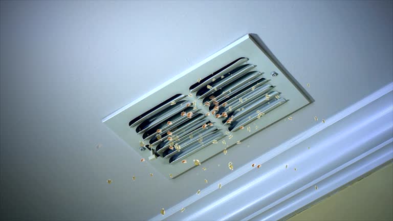 Best HVAC Duct Inspection Services  in Crest Hl, IL