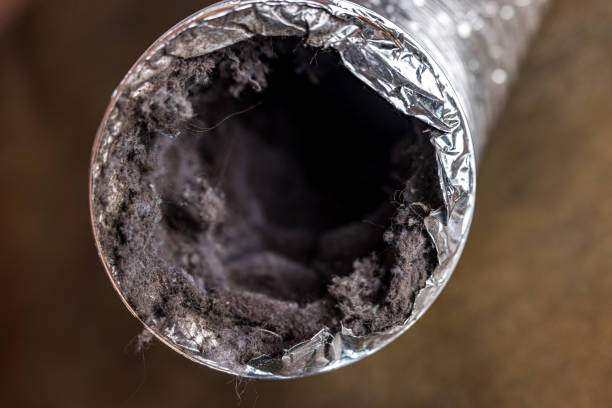 Best Home Air Vent Cleaning  in Crest Hl, IL